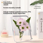【Cumpără 1, primești 1 gratuit】Vază cu ramă foto de birou de înaltă calitate